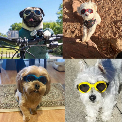 Dog Sunglasses